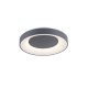 Lampa sufitowa LED 26,5W ANIKA 14326-18 Paul Neuhaus