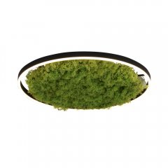Lampa sufitowa LED 28W GREEN RITUS 15392-66 LeuchtenDirekt