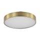 Lampa sufitowa LED 50W NADI MS724-R500-AB Zuma Line
