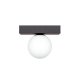 Lampa sufitowa SPHERE 1206 Zuma Line