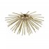 Lampa sufitowa URCHIN C0491-06B-F7DY Zuma Line