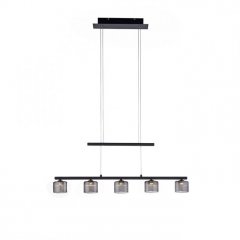 Lampa wisząca LED 5x4W HYDRA 2209-18 Paul Neuhaus