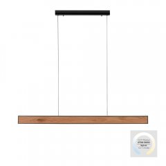 Lampa wisząca LED PURE-MOTIO 2470-79 Paul Neuhaus